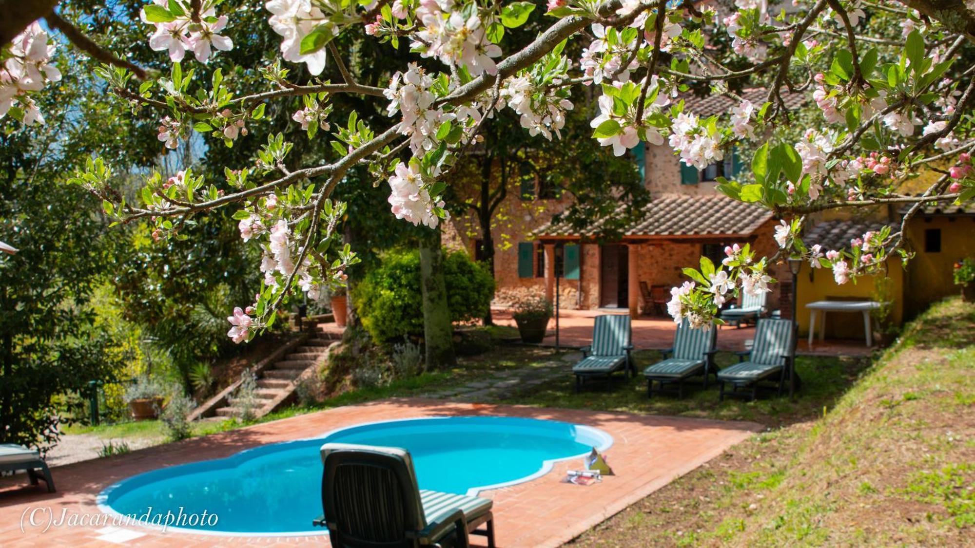 Villa La Pieve Camaiore Zewnętrze zdjęcie