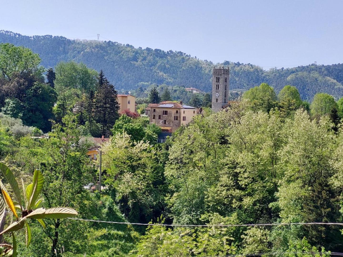 Villa La Pieve Camaiore Zewnętrze zdjęcie