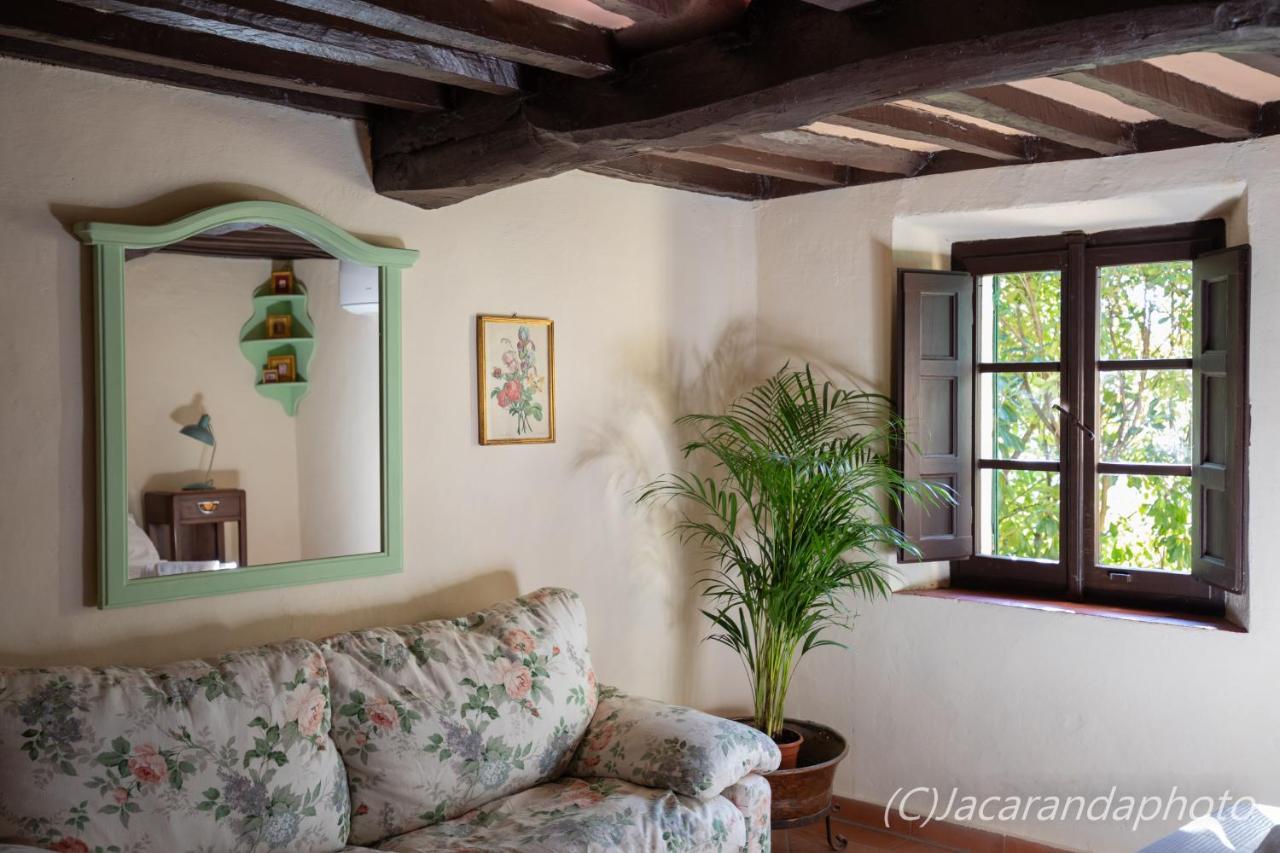 Villa La Pieve Camaiore Zewnętrze zdjęcie