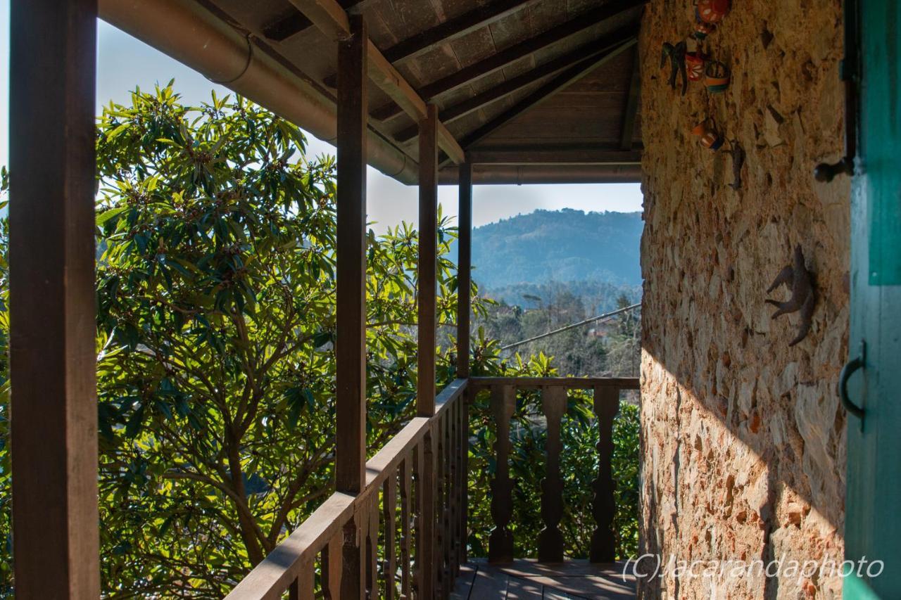 Villa La Pieve Camaiore Zewnętrze zdjęcie