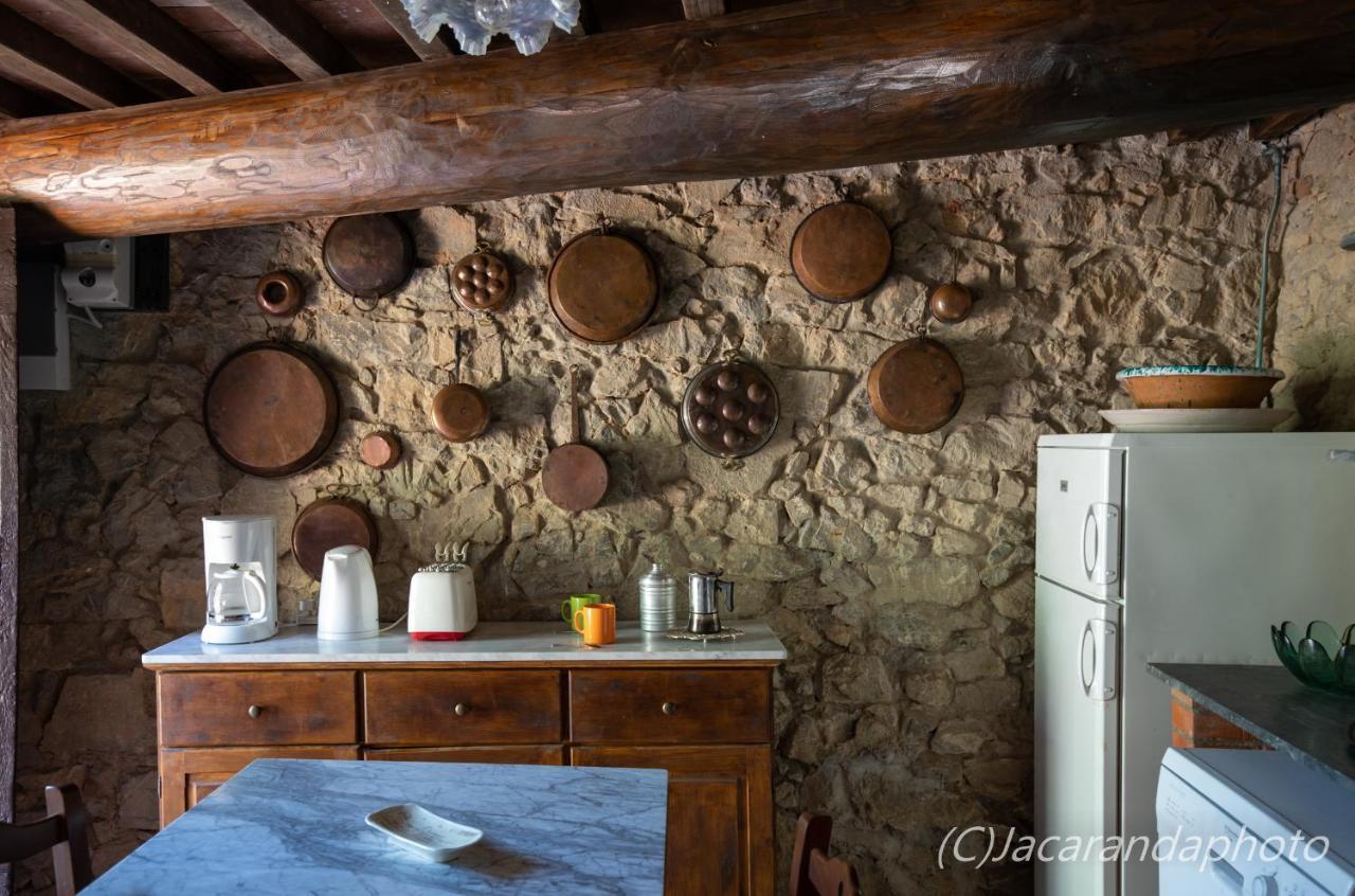 Villa La Pieve Camaiore Zewnętrze zdjęcie